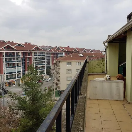 Apartment Cozy Loft With Big Terraces Bursa